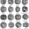 Common Differential Covers